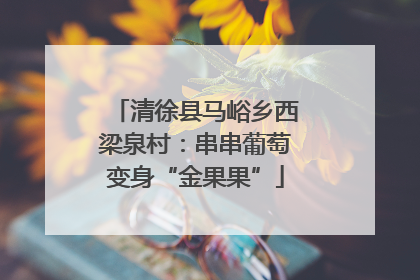 清徐县马峪乡西梁泉村：串串葡萄变身“金果果”
