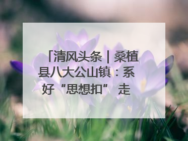 清风头条｜桑植县八大公山镇：系好“思想扣” 走稳“青廉路”