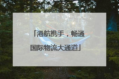 港航携手，畅通国际物流大通道
