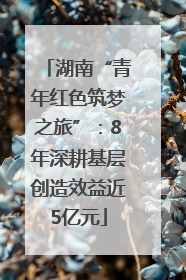 湖南“青年红色筑梦之旅”：8年深耕基层创造效益近5亿元