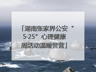 湖南张家界公安“5·25”心理健康周活动温暖警营