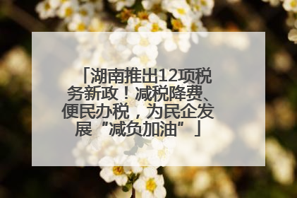 湖南推出12项税务新政！减税降费、便民办税，为民企发展“减负加油”