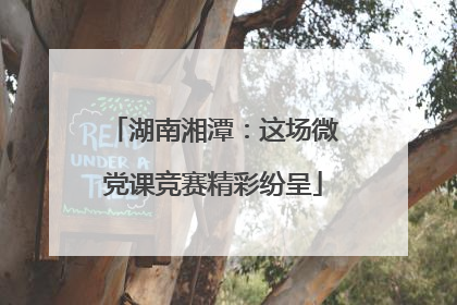 湖南湘潭：这场微党课竞赛精彩纷呈