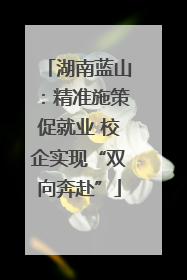 湖南蓝山：精准施策促就业 校企实现“双向奔赴”