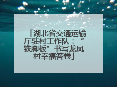 湖北省交通运输厅驻村工作队：“铁脚板”书写龙凤村幸福答卷