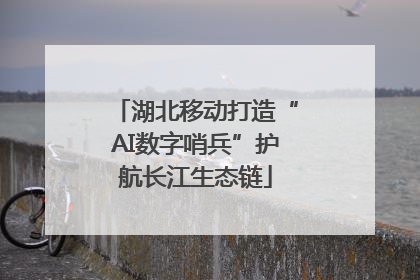 湖北移动打造“AI数字哨兵”护航长江生态链