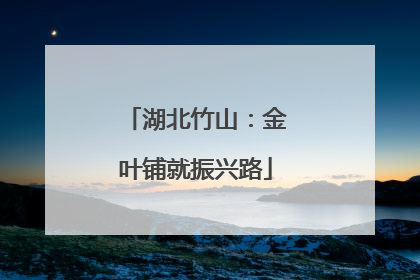 湖北竹山：金叶铺就振兴路