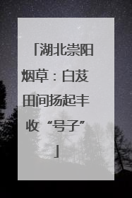 湖北崇阳烟草：白芨田间扬起丰收“号子”