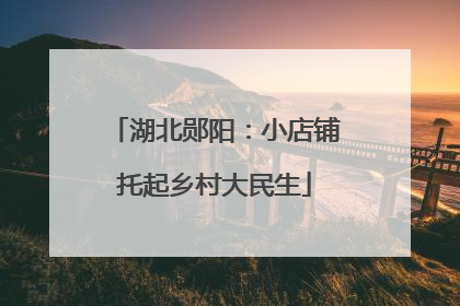 湖北郧阳：小店铺托起乡村大民生