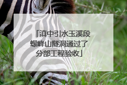 滇中引水玉溪段螺峰山隧洞通过了分部工程验收