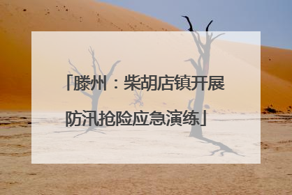 滕州：柴胡店镇开展防汛抢险应急演练