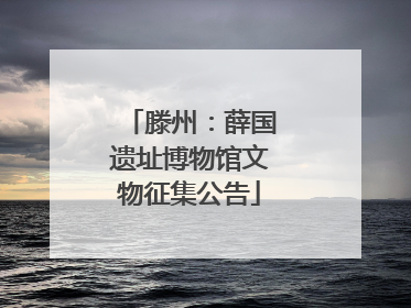 滕州：薛国遗址博物馆文物征集公告