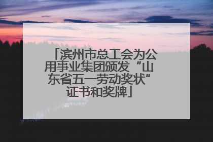 滨州市总工会为公用事业集团颁发“山东省五一劳动奖状”证书和奖牌