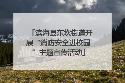 滨海县东坎街道开展“消防安全进校园”主题宣传活动