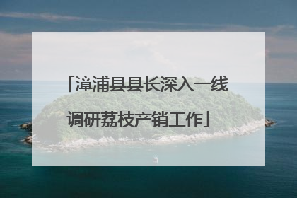 漳浦县县长深入一线调研荔枝产销工作