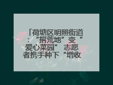 荷塘区明照街道：“撂荒地”变“爱心菜园” 志愿者携手种下“增收希望”