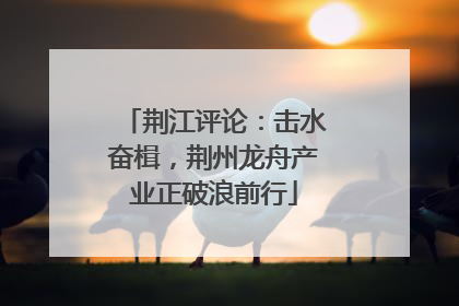 荆江评论：击水奋楫，荆州龙舟产业正破浪前行