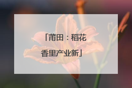 莆田：稻花香里产业新