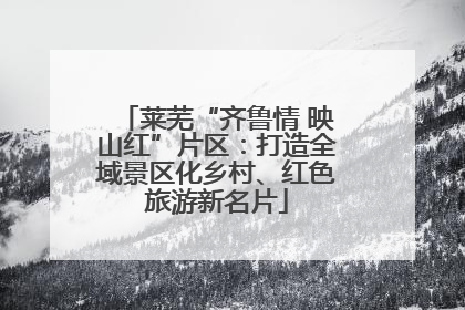 莱芜“齐鲁情 映山红”片区：打造全域景区化乡村、红色旅游新名片