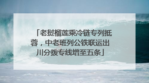 老挝榴莲乘冷链专列抵蓉，中老班列公铁联运出川分拨专线增至五条