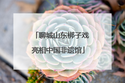 聊城山东梆子戏亮相中国非遗馆
