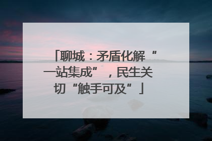 聊城：矛盾化解“一站集成”，民生关切“触手可及”