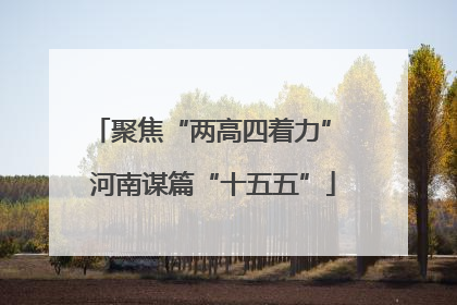 聚焦“两高四着力” 河南谋篇“十五五”