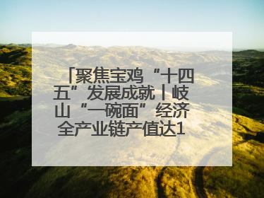 聚焦宝鸡“十四五”发展成就丨岐山“一碗面”经济全产业链产值达162亿元 入选全国典型县