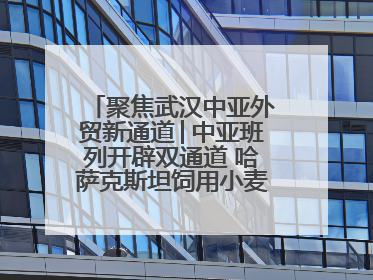 聚焦武汉中亚外贸新通道│中亚班列开辟双通道 哈萨克斯坦饲用小麦将抵鄂