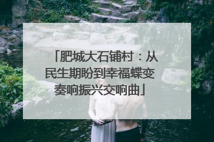 肥城大石铺村：从民生期盼到幸福蝶变奏响振兴交响曲