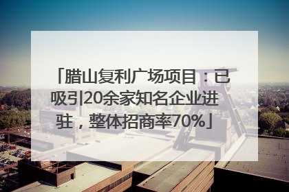腊山复利广场项目：已吸引20余家知名企业进驻，整体招商率70%