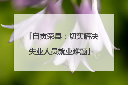 自贡荣县：切实解决失业人员就业难题