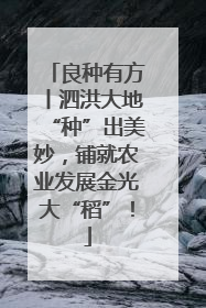 良种有方丨泗洪大地“种”出美妙，铺就农业发展金光大“稻”！
