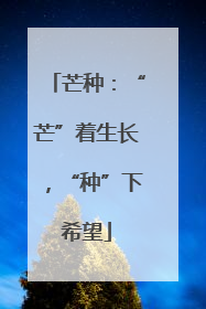 芒种：“芒”着生长，“种”下希望