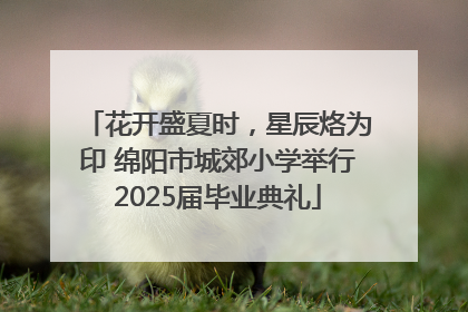 花开盛夏时，星辰烙为印 绵阳市城郊小学举行2025届毕业典礼