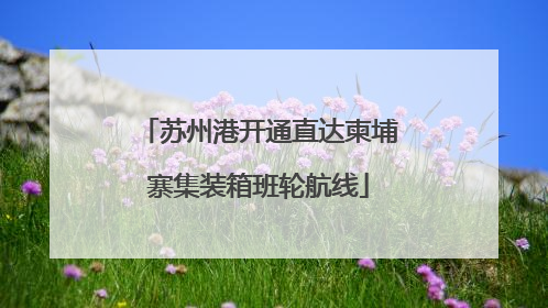 苏州港开通直达柬埔寨集装箱班轮航线