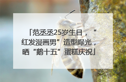 范丞丞25岁生日，“红发漫画男”造型曝光，晒“鹅十五”蛋糕庆祝