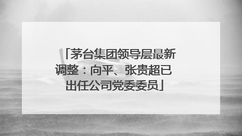茅台集团领导层最新调整：向平、张贵超已出任公司党委委员