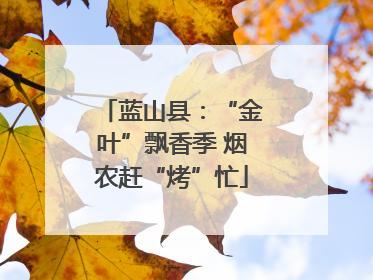蓝山县：“金叶”飘香季 烟农赶“烤”忙