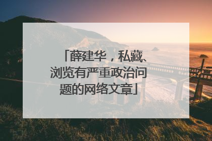 薛建华，私藏、浏览有严重政治问题的网络文章
