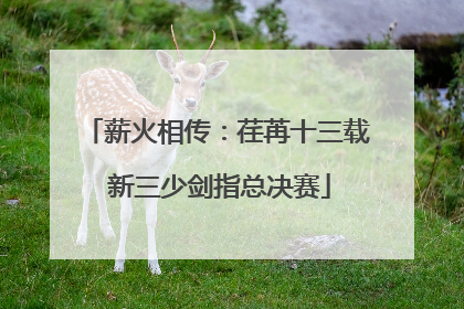 薪火相传：荏苒十三载 新三少剑指总决赛