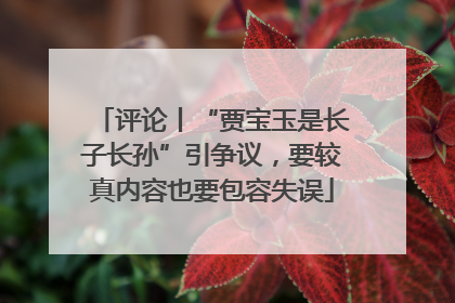 评论丨“贾宝玉是长子长孙”引争议，要较真内容也要包容失误
