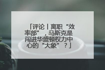 评论丨离职“效率部”，马斯克是闯进华盛顿权力中心的“大象”？