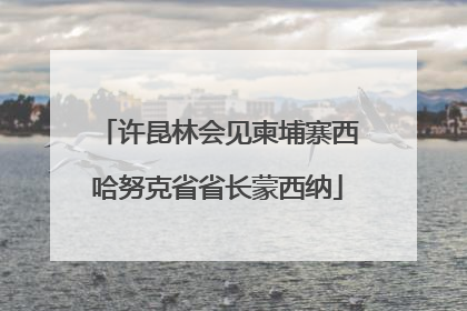 许昆林会见柬埔寨西哈努克省省长蒙西纳