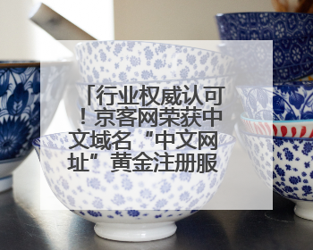 行业权威认可！京客网荣获中文域名“中文网址”黄金注册服务商