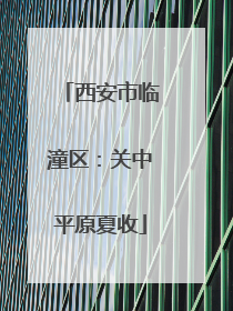 西安市临潼区：关中平原夏收