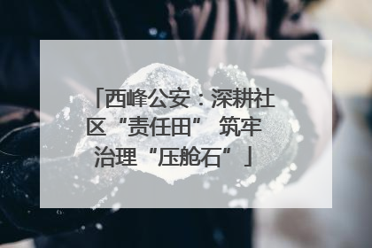 西峰公安：深耕社区“责任田” 筑牢治理“压舱石”