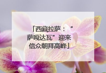 西藏拉萨：“萨嘎达瓦”迎来信众朝拜高峰