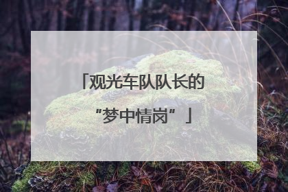 观光车队队长的“梦中情岗”