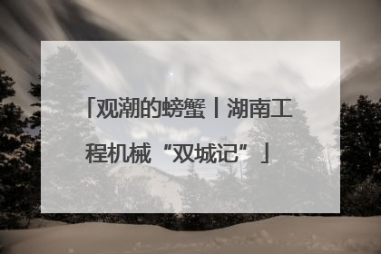 观潮的螃蟹丨湖南工程机械“双城记”